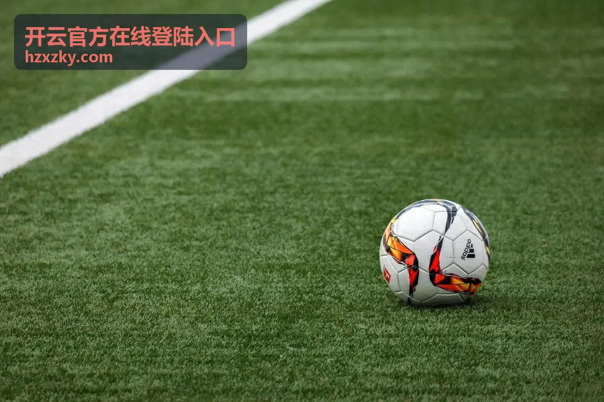 开云官方在线登陆入口 服务场景展示